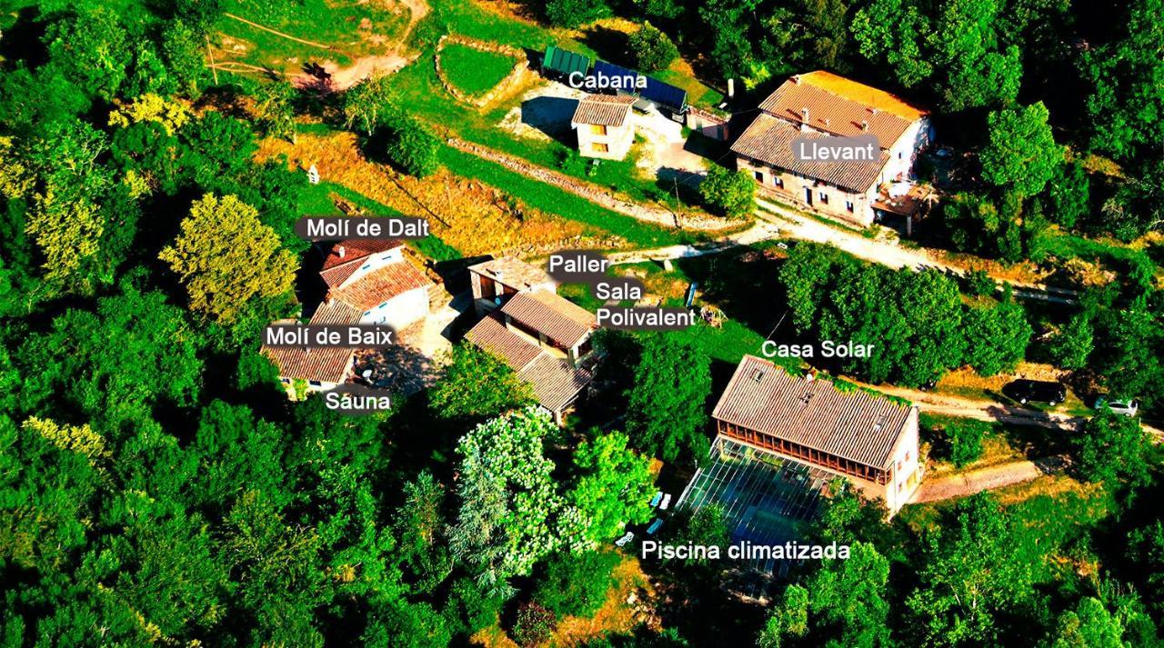 La Cabana Del Moli De La Plana Riudaura Exteriér fotografie