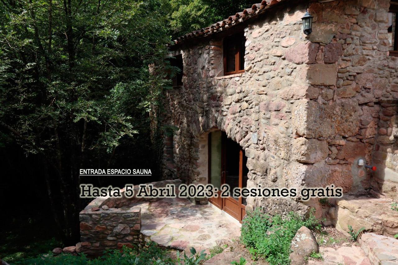 La Cabana Del Moli De La Plana Riudaura Exteriér fotografie