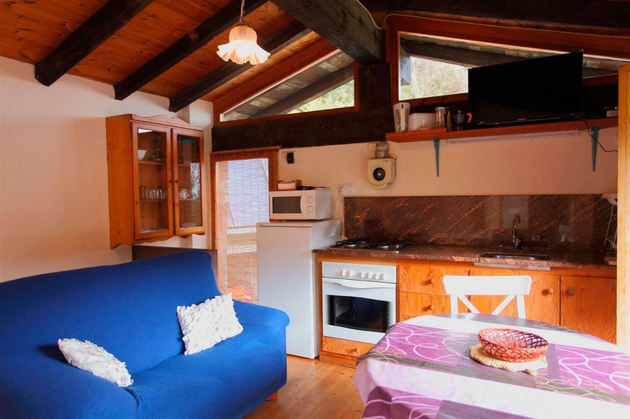 La Cabana Del Moli De La Plana Riudaura Exteriér fotografie