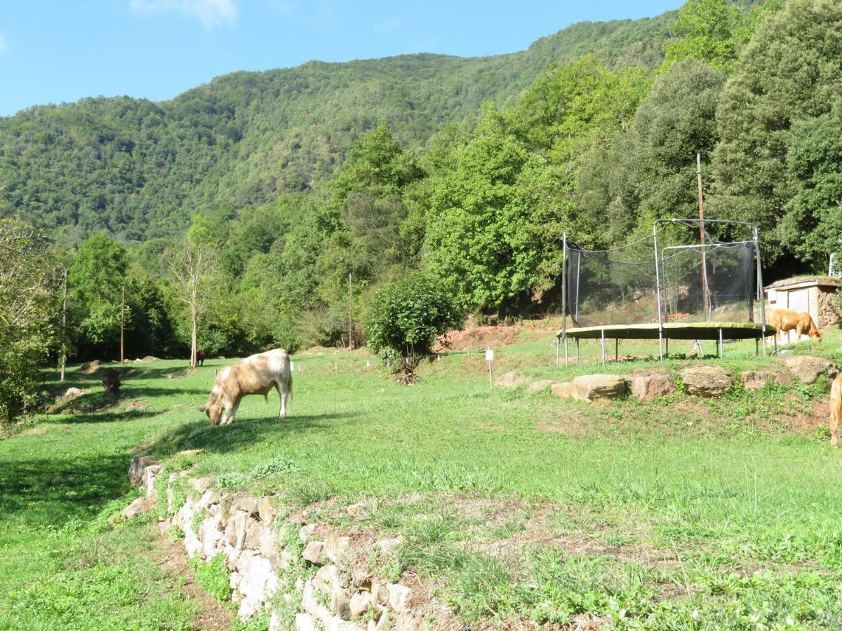 La Cabana Del Moli De La Plana Riudaura Exteriér fotografie